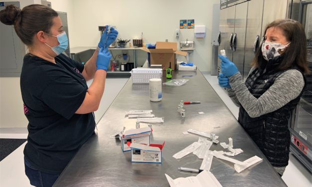 Chatham County Roundup: Mass Vaccination Events and North Woods Neighbors