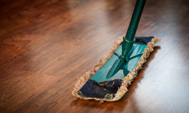 Small Business, Big Lessons® – Spring Cleaning 2021