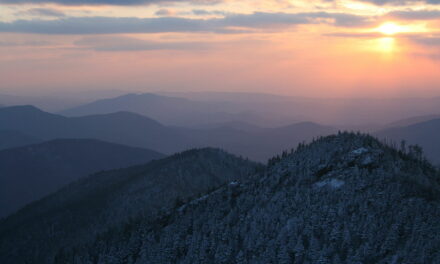 One on One: The Great Smokies, Trout Streams and Eminent Domain