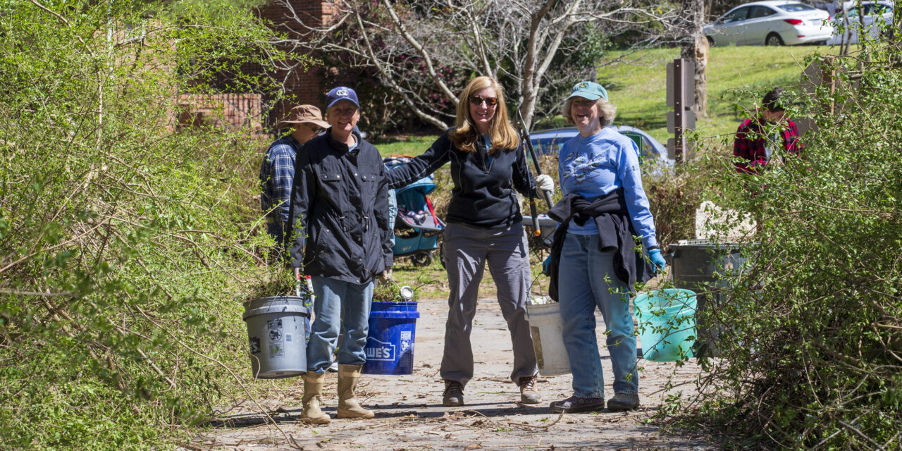 Carrboro, Chapel Hill to Host Creek Cleanup With New Pandemic Guidelines