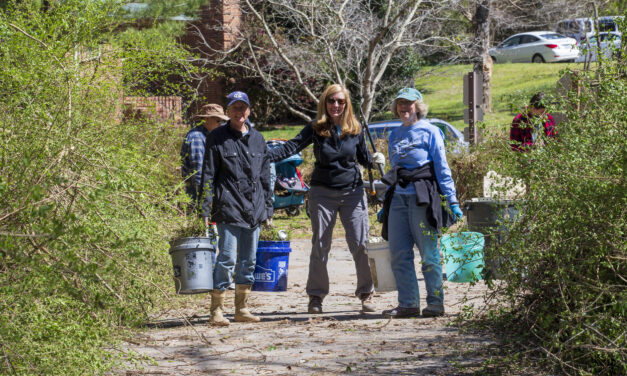 Carrboro, Chapel Hill to Host Creek Cleanup With New Pandemic Guidelines