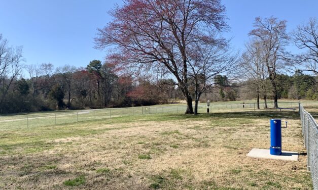 Chatham County Set to Open Permanent Dog Park