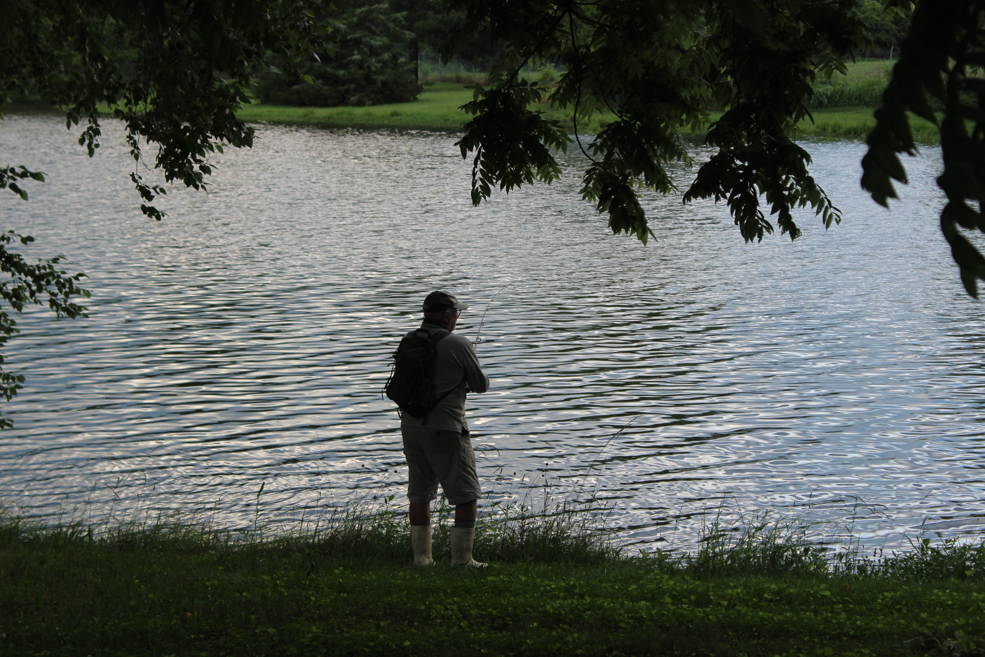 Wonderful Water: Recreation and Relaxation at OWASA’s Reservoirs