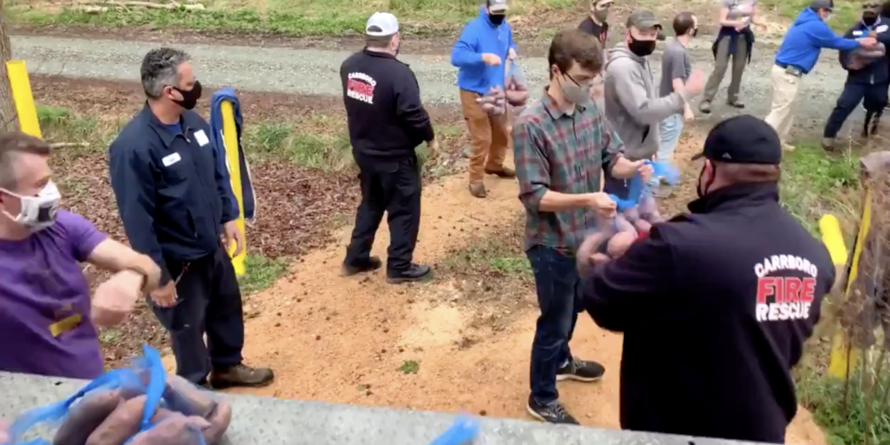 Carrboro Community Comes Together to Save Food Distribution Event After Truck Gets Stuck