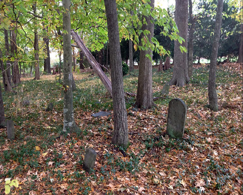 UNC to Honor Unmarked Graves of Enslaved People at Barbee Cemetery