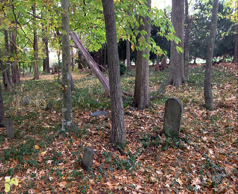 UNC to Honor Unmarked Graves of Enslaved People at Barbee Cemetery - Vimarsana News