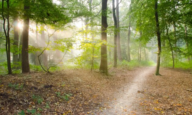 This Just In: Nobody’s Perfect