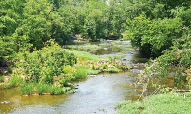 What Is Pittsboro Doing About Its Water Problems?