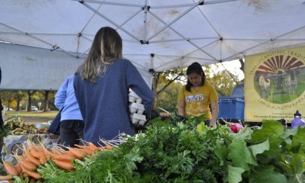 Chapel Hill Farmers’ Market Offers New Composting Opportunity