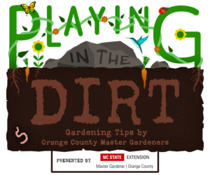 Playing in the Dirt LOGO copy 1