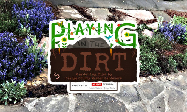 Playing in the Dirt: Growing Herbs for a Beautiful and Flavorful Garden
