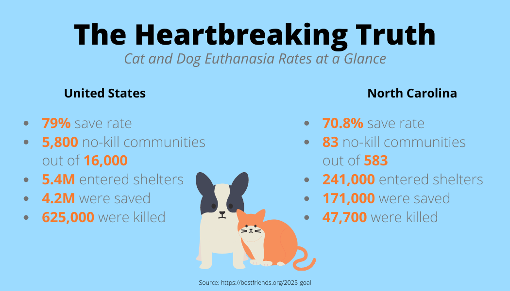 Cost to euthanize store dog