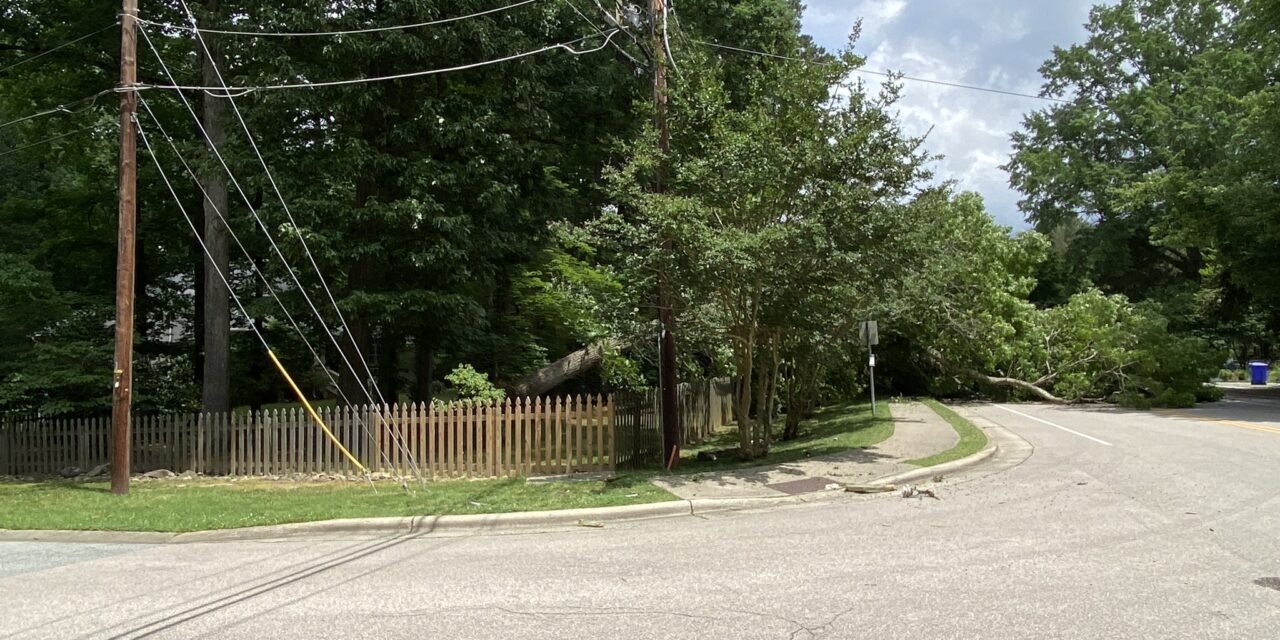 Downed Tree on N. Greensboro Street Leaves Hundreds Without Power