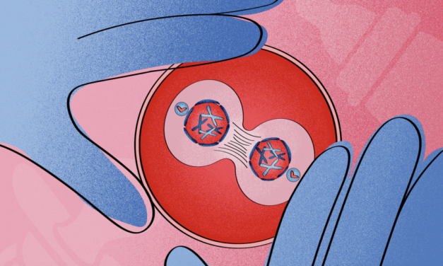 Breeding Like Rabbits: A Study at Wake Forest Med Could Revolutionize Uterine Factor Infertility Treatments