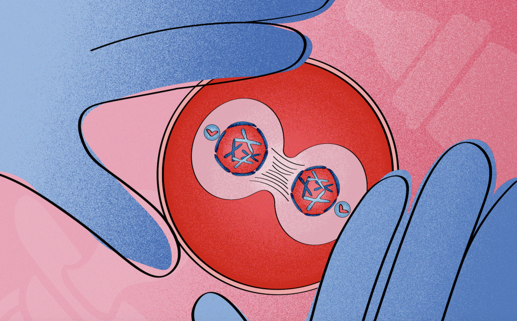 Breeding Like Rabbits: A Study at Wake Forest Med Could Revolutionize Uterine Factor Infertility Treatments