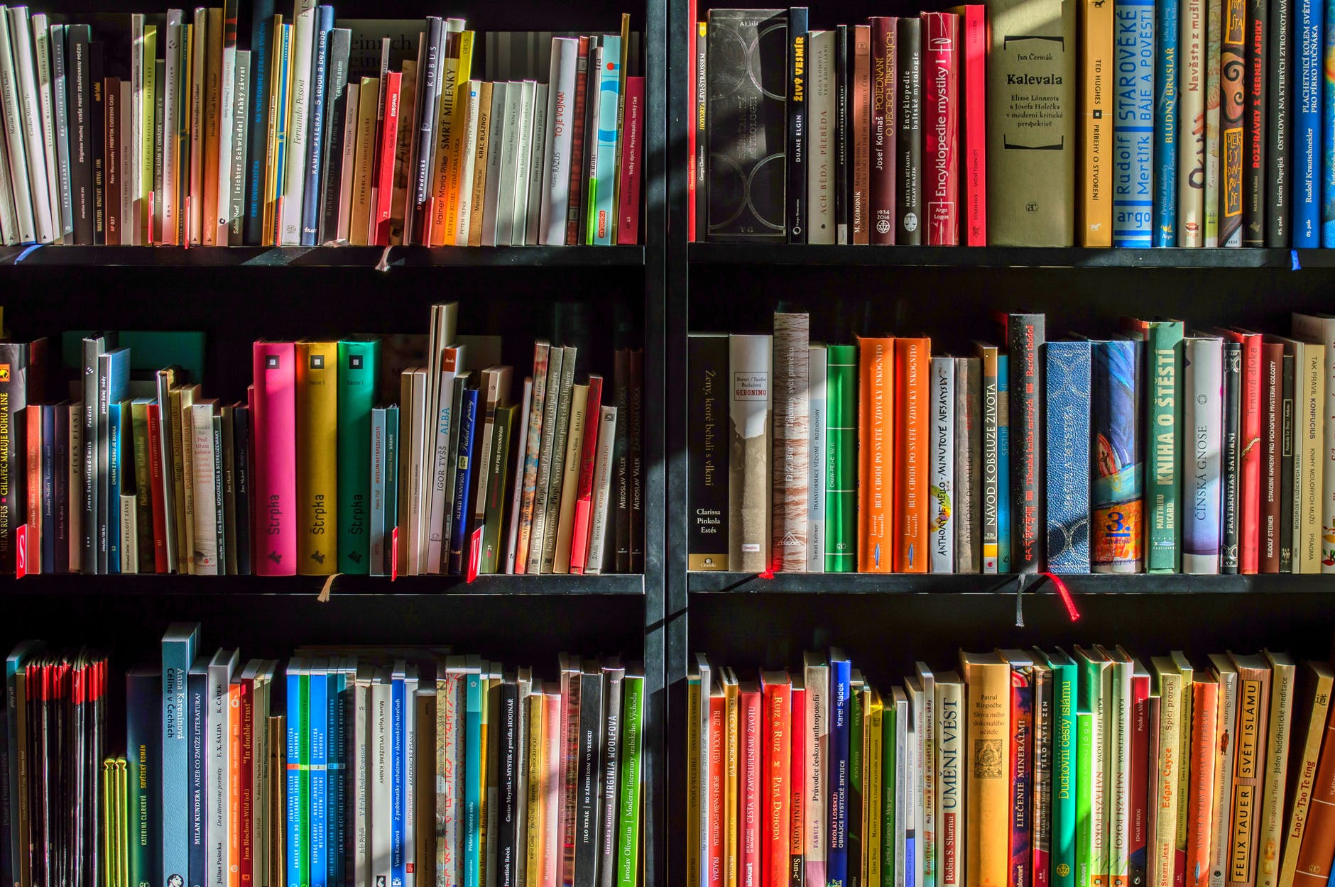 Penny For Your Thoughts: We Love To Read - Vimarsana News