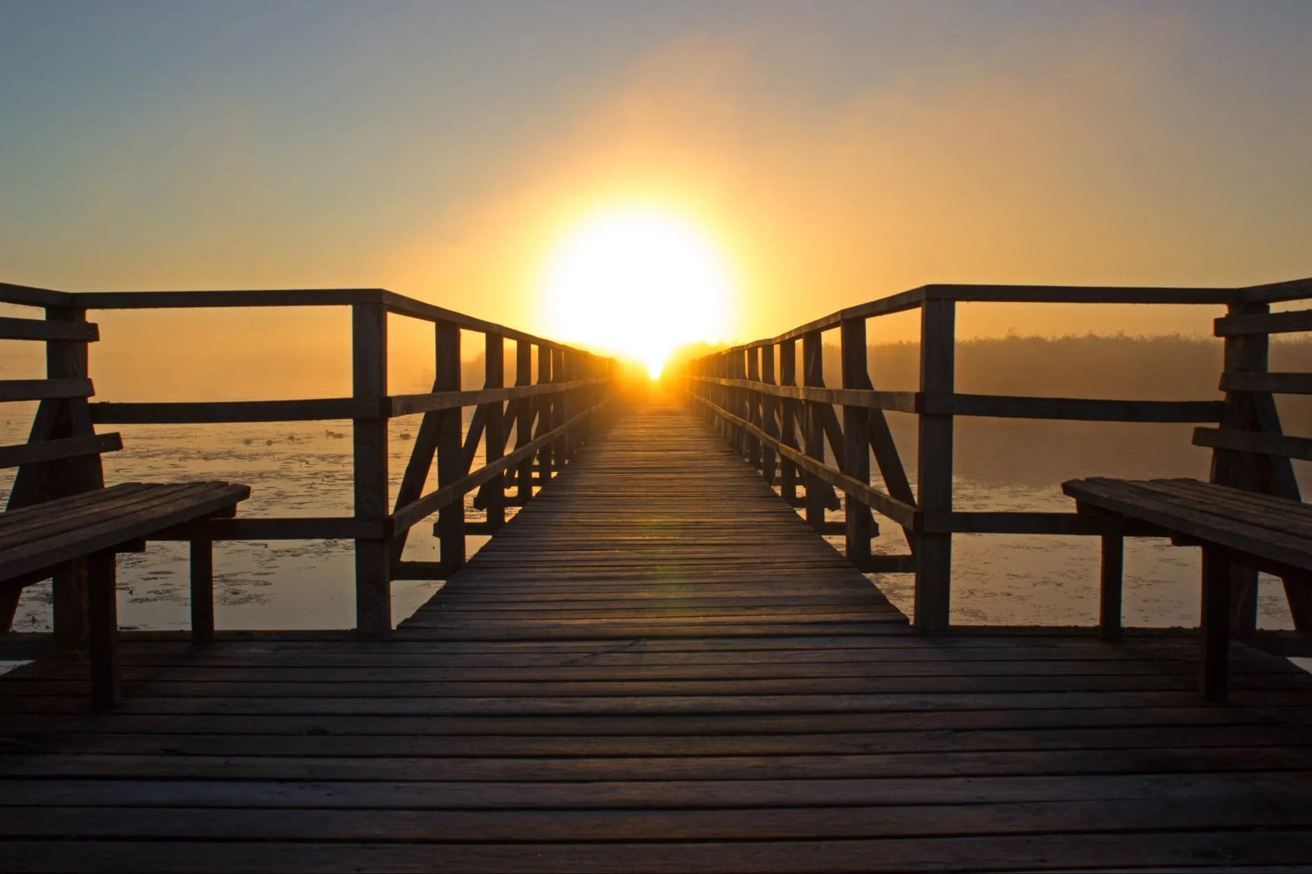 The Music in My Head: Beach Music — It Will Stand! - Vimarsana News