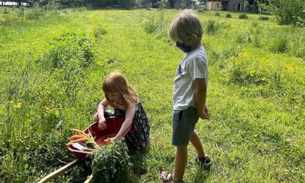 Playing In The Dirt: Grow! Kids Learn While They Have Fun With Gardening