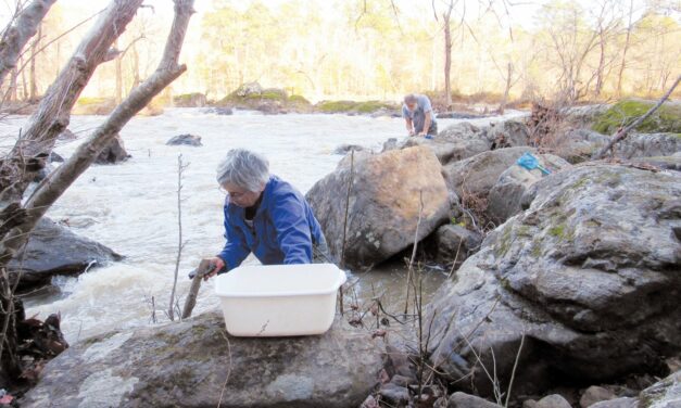 Pittsboro’s Water Samples Indicate Safe Drinking Water After Contamination Scare Last Week