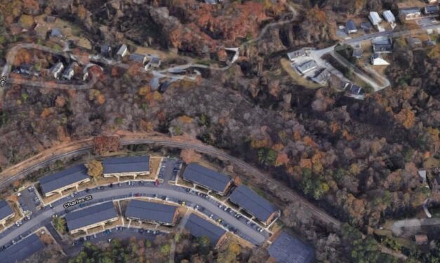 Viewpoints: They Paved Paradise, and Put Up a Parking Lot