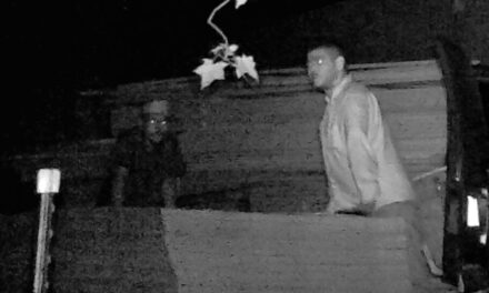 Orange County Sheriff’s Office Investigating Recent Lumber Thefts