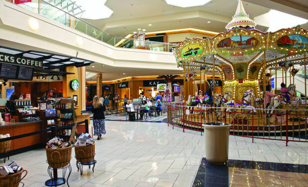 Lawsuit: Blind Man, Guide Dog Forced From N. Carolina Mall