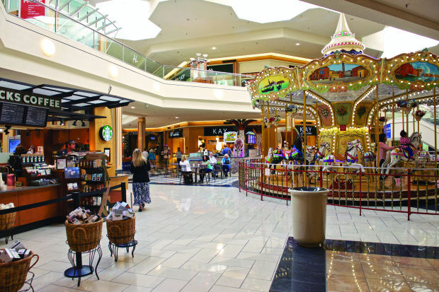 Lawsuit: Blind Man, Guide Dog Forced From N. Carolina Mall