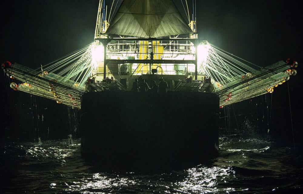 Great Wall of Lights: China’s Sea Power on Darwin’s Doorstep
