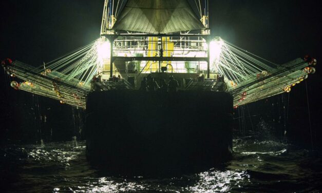 Great Wall of Lights: China’s Sea Power on Darwin’s Doorstep