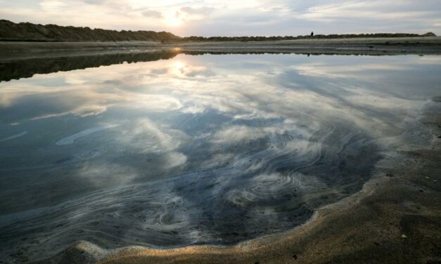 Records Show Slow Response To Report of California Oil Spill