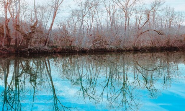 Friends of Lower Haw Ask County To Invest in Haw River Trail Now