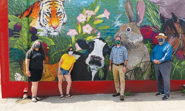 Pittsboro To Bring Main Street Pittsboro Initiative Back Into Town Management, Form Downtown Advisory Committee