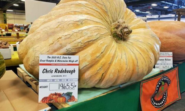 Nearly 1-Ton Pumpkin Sets Record at North Carolina Fair