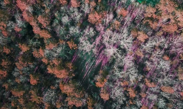 A Chatham County Legend Rooted in Lore and Ghostly Tales