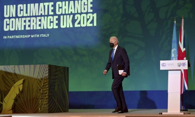 Over 100 Countries Vow to End Deforestation at Climate Talks