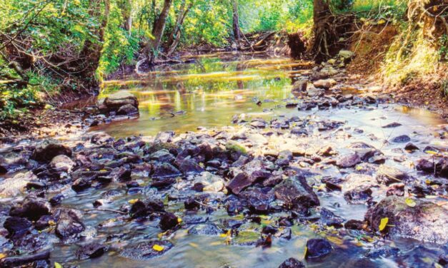 Chatham Commissioners Hear Update From Climate Change Committee