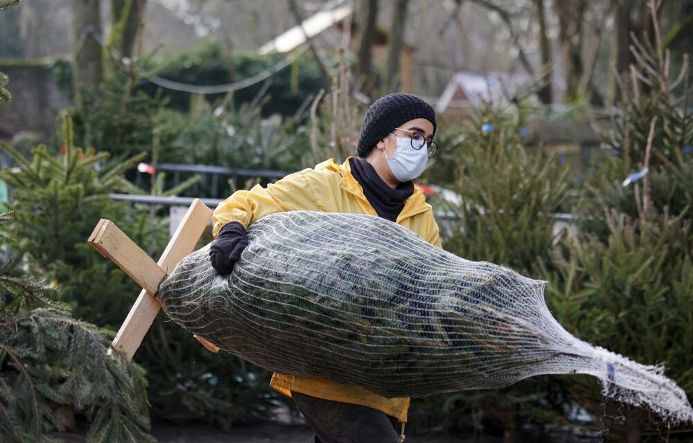 British Surge Seen as Warning on Omicron but Responses Vary