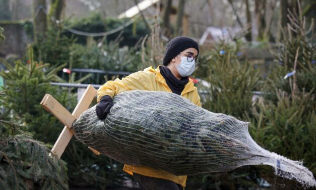 British Surge Seen as Warning on Omicron but Responses Vary