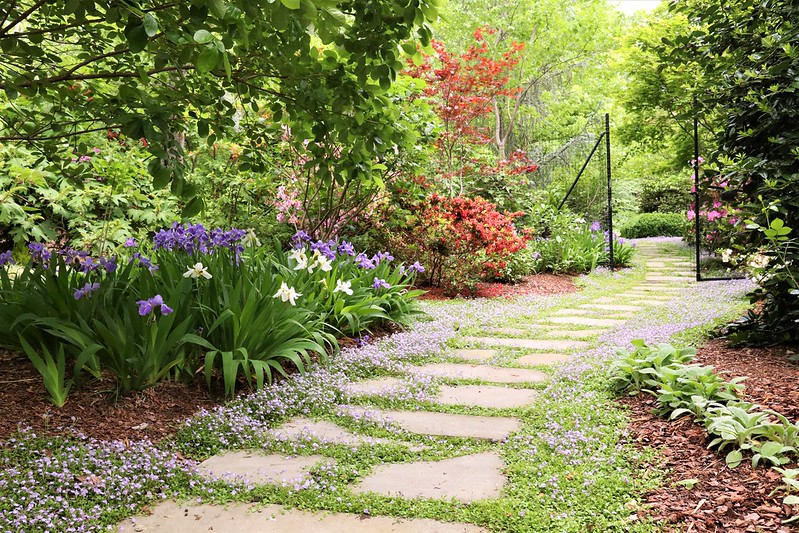 chapel hill garden club tour