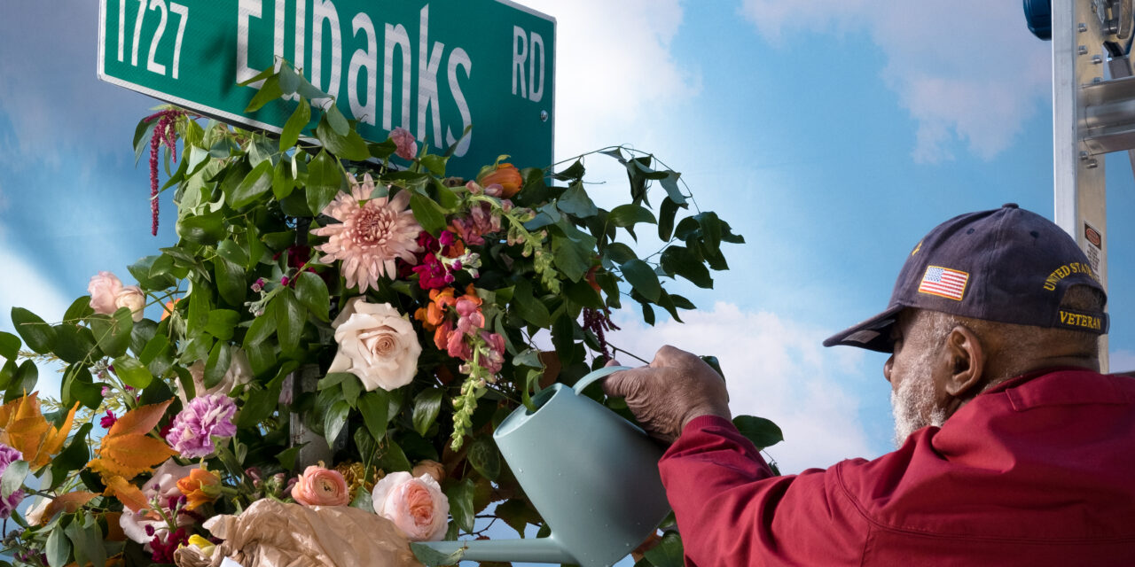 On Display, At Last: ‘Tarred Healing’ at the Chapel Hill Public Library