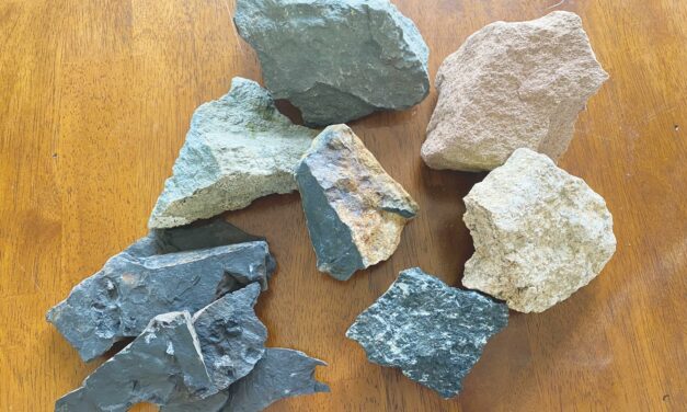 Museum to Showcase Chatham County’s Geological Past in New Short-term Exhibit