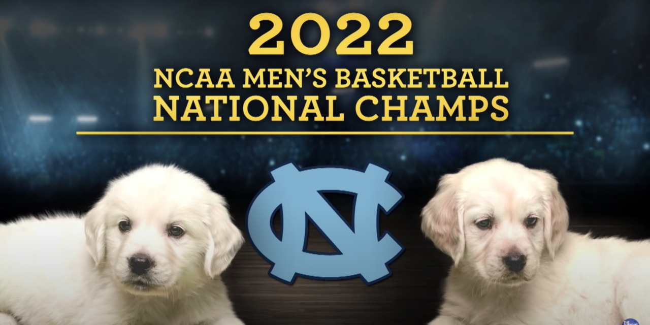 Jimmy Fallon Puppy Predictors Choose UNC To Win NCAA Title