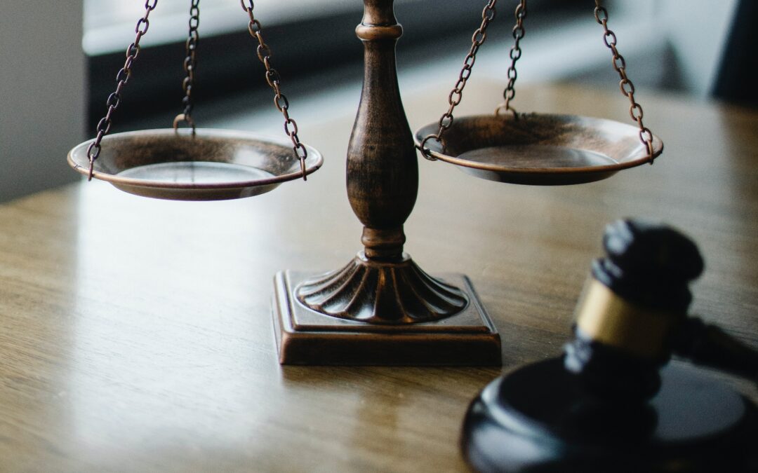 Candidate Intros: Orange and Chatham District Attorney Primary