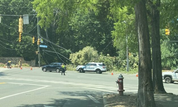 Downed Tree Causes Power Outages, Forces Closure of Country Club Road in Chapel Hill