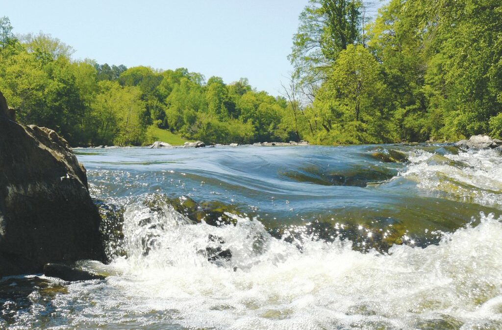 Wonderful Water: Monica Dodson on New PFAS Standards