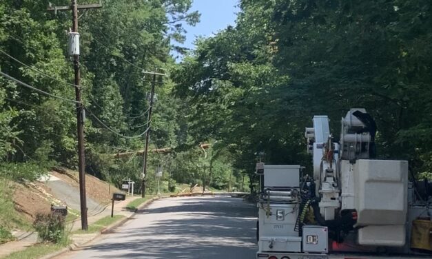 Fallen Tree Knocks Out Power for 1,000 Chapel Hill Customers