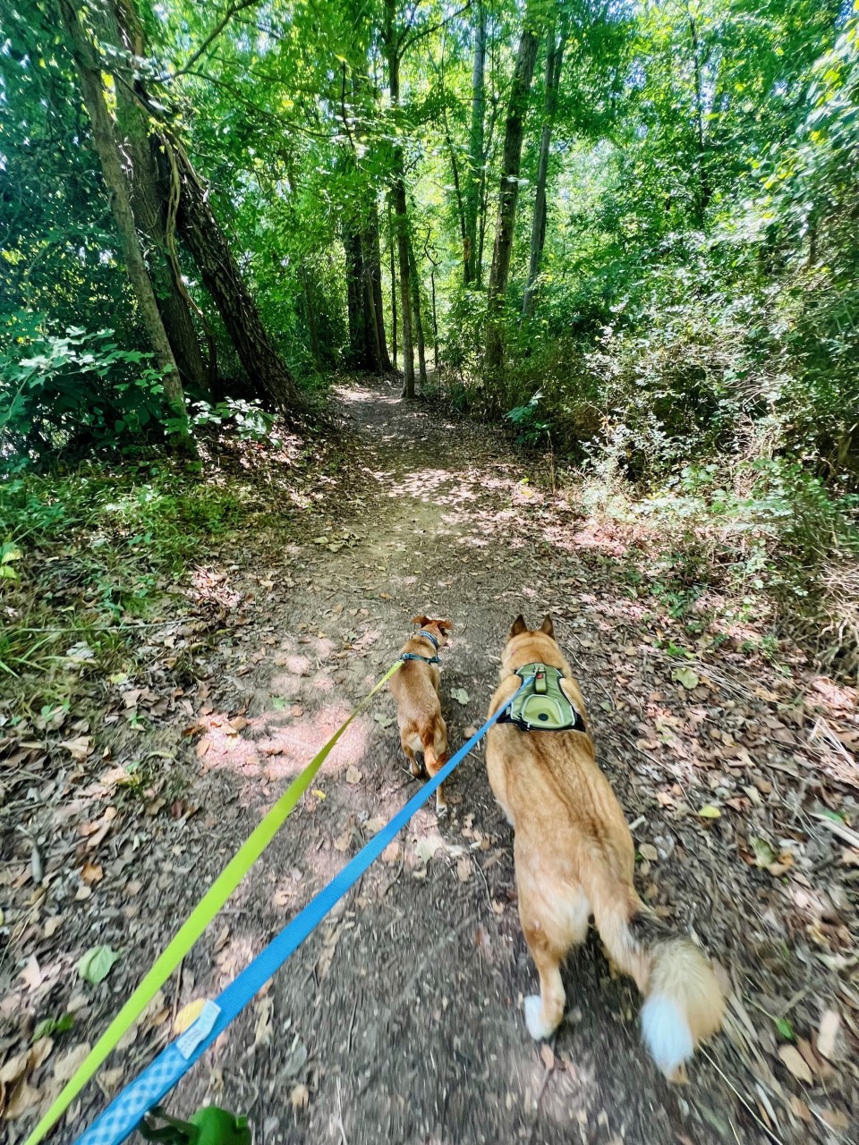 Alamance Awaits Swepsonville River Park
