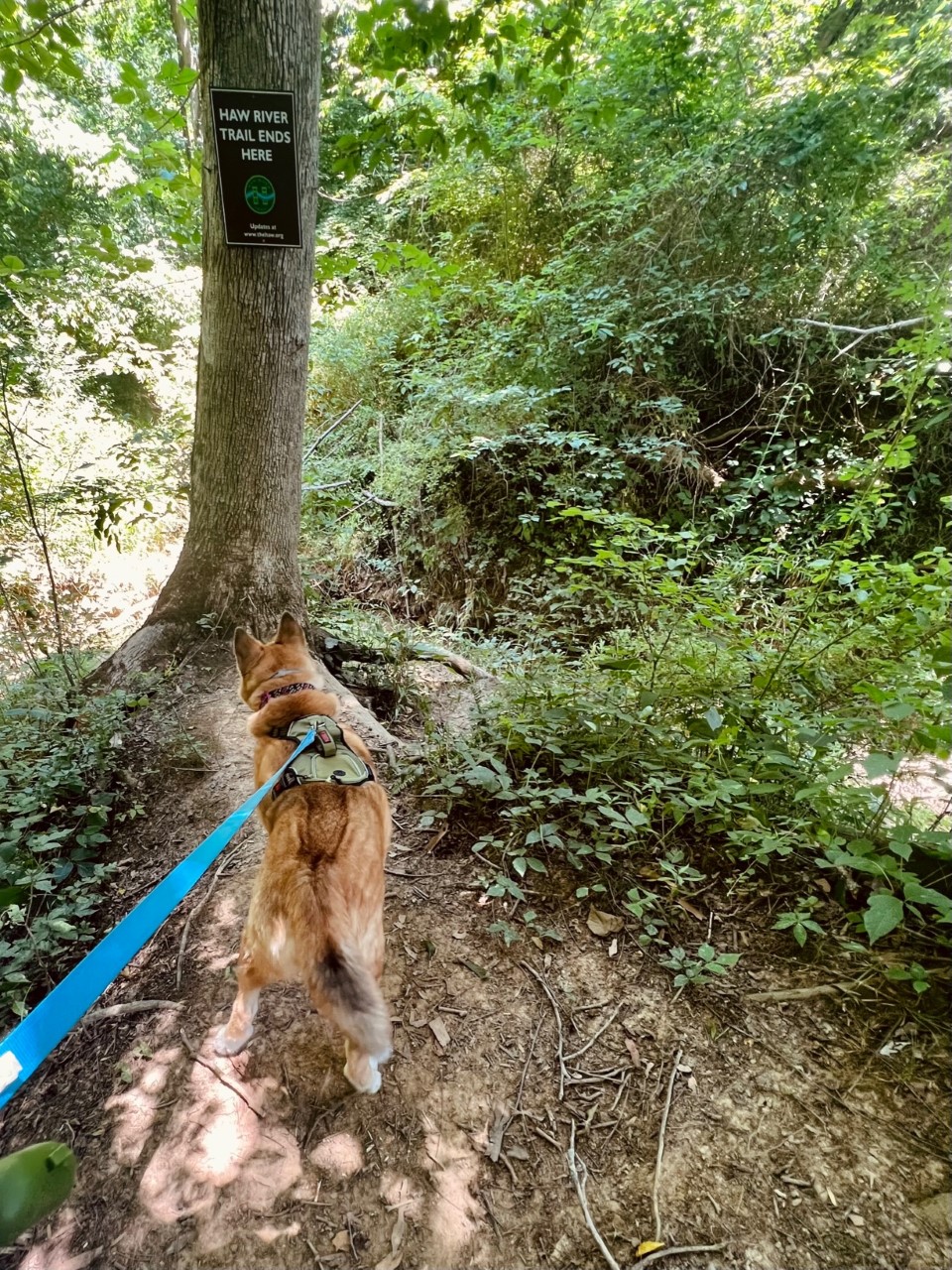 Alamance Awaits Swepsonville River Park