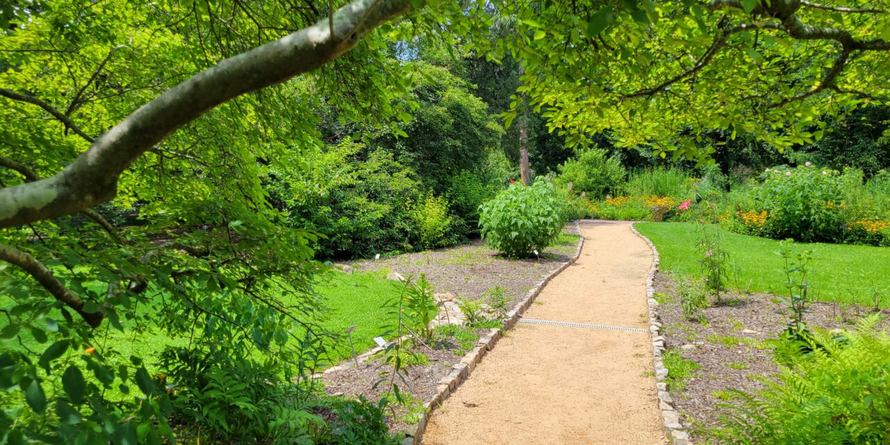 Town of Chapel Hill Earns A-List Ranking for Climate Leadership