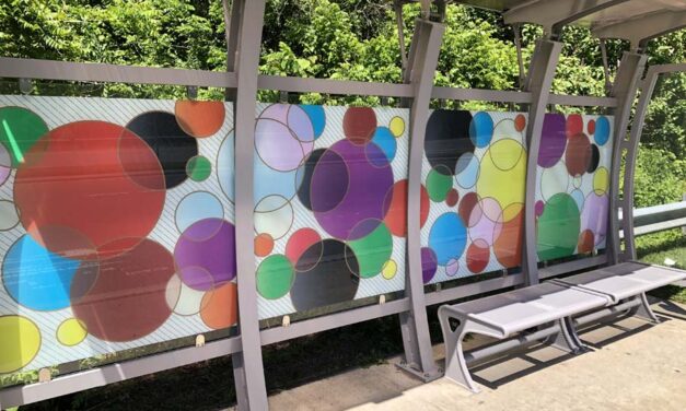 Local Art Adorns Bus Stops Around Chapel Hill